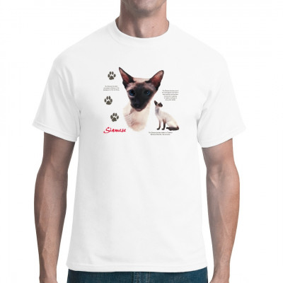 T-Shirt - Motiv: Siamkatze
Eine nicht besonders flauschige Siamkatze. Sie hat Rasse und Klasse, aber kein Plüsch.
