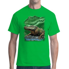 Alligator im Sumpf
