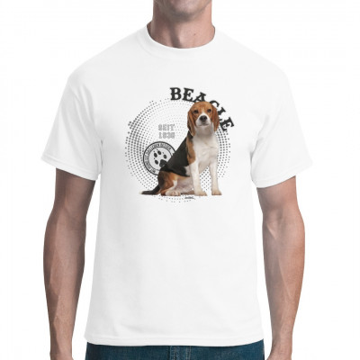Rassehund: Beagle