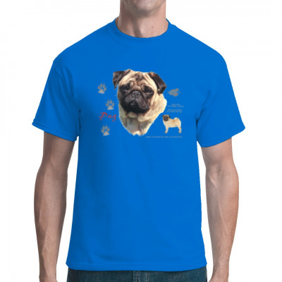 T-Shirt: Mops Hund