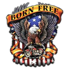 Born Free - Adler mit US Flagge