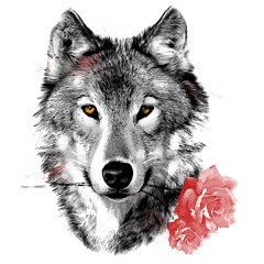 Wolf mit Rose