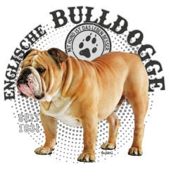 Hunde Motiv: Englische Bulldogge Foto