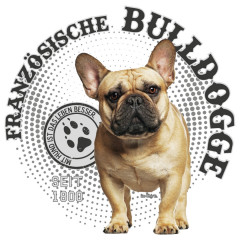 Hunde Motiv: Französische Bulldogge