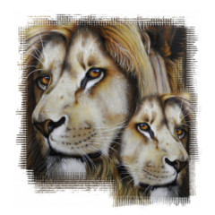 Zwei Löwen