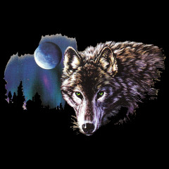 Wolf mit Mond 