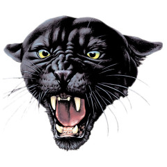 Panther Kopf