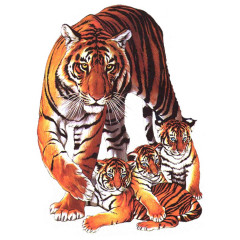Tiger mit Jungen