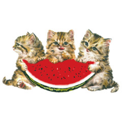 Drei Kätzchen essen Melone Kindermotiv