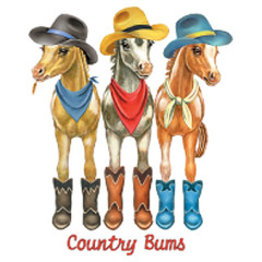 Country Pferde
