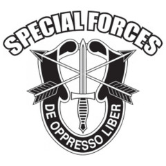 Special Forces Brustlogo