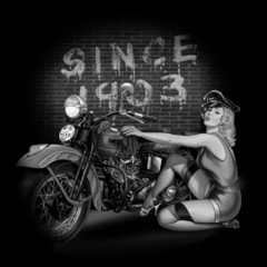 Pin-Up: Since 1903