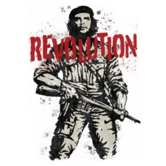 Che Guevara, Revolution