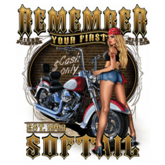 Remember your first Softail