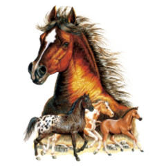 Detaillierter Pferdekopf