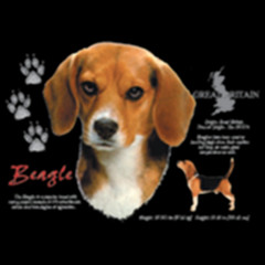 Hunde Rasse Shirt: Beagle
