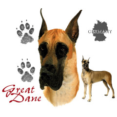Hundemotiv: Deutsche Dogge - Great Dane