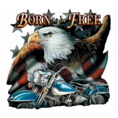 Born to be free - Adler & Bike