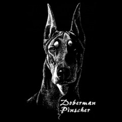 Shirt-Motiv: Dobermann Hund