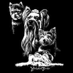 Hunde T-Shirt: Yorkshire Terrier